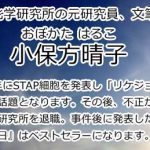 小保方晴子