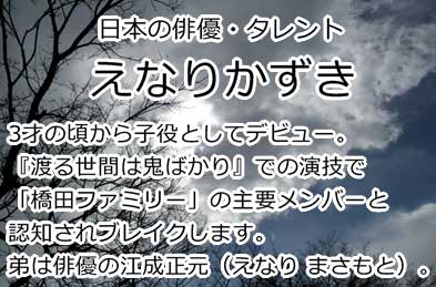 えなりかずき