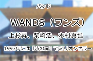 WANDS（ワンズ）