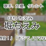 堀ちえみ