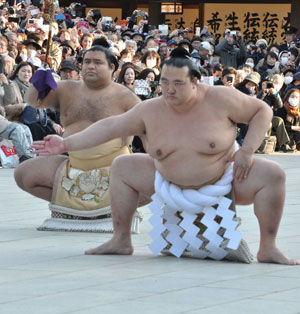 稀勢の里