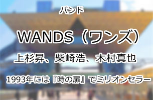 WANDS(ワンズ)